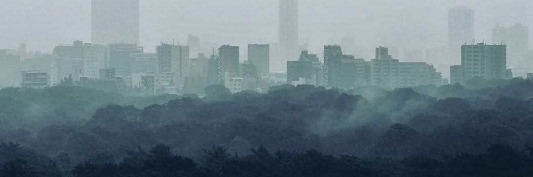 霧に包まれた東京の高層ビル群と緑地のスカイライン
